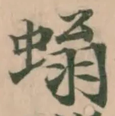 螉 위치 확인됨