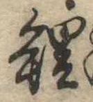 鯉の位置