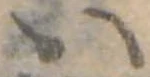 い 위치 확인됨