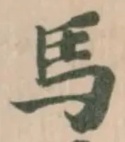 馬 위치 확인됨