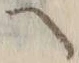 Character ヘ