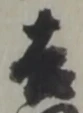 吉 위치 확인됨