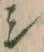 文字シ