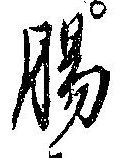 腸 위치 확인됨