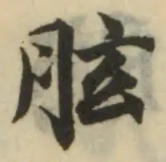 胘の位置