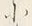 字に