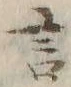 글자 言