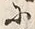「に」字