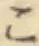 字こ