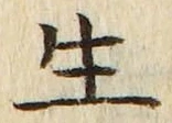 字生