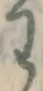 글자 わ