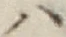 字ハ