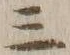 文字三