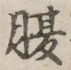 腹 위치 확인됨