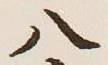 Character 八