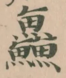 鱻 위치 확인됨