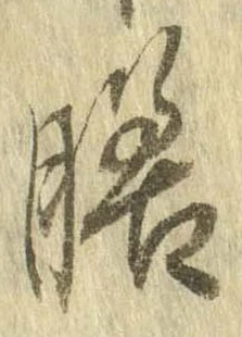 膳 위치 확인됨
