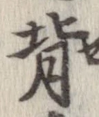 背 위치 확인됨