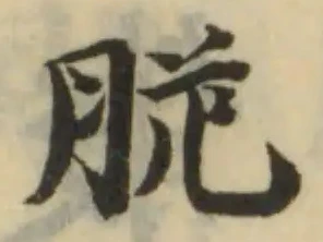 脆の位置