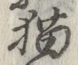 位置 確認된 猫