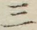 字三