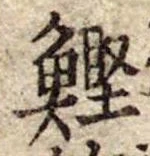 Located 鰹