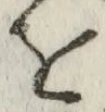 글자 を