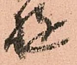 已定位遊