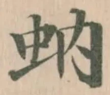 蚋の位置