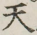 位置定マレル天