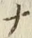 글자 ナ
