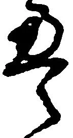 已定位畳