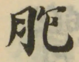 Đã định vị 胞