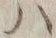 字ハ
