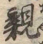 親 위치 확인됨