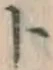 字ト