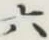 글자 六