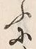 글자 ふ