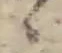 位置 確認된 ゝ
