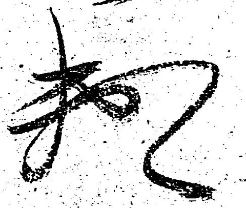 已定位頼