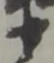 衛の位置