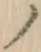 字ノ