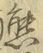 已定位熊