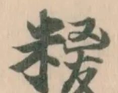 糉の位置
