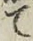字て
