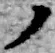 字ノ
