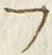 𡨸フ