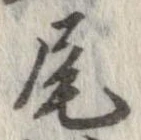 尾 위치 확인됨