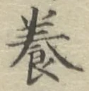 Chữ 養