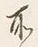 Chữ 所